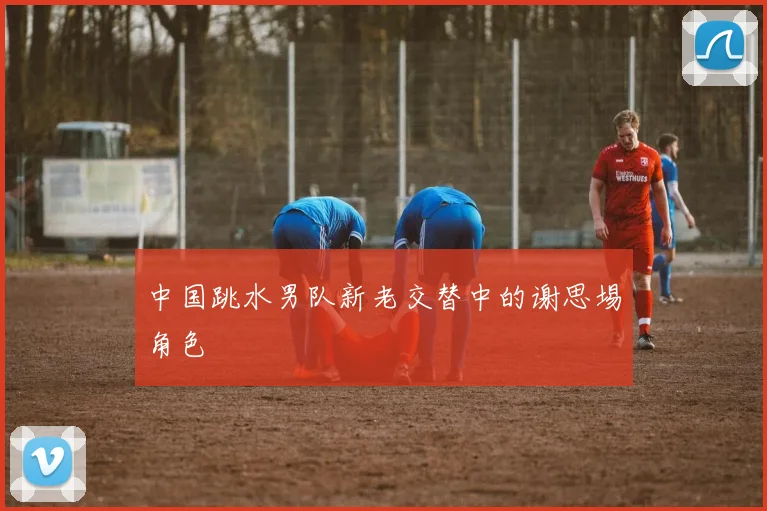 中国跳水男队新老交替中的谢思埸角色