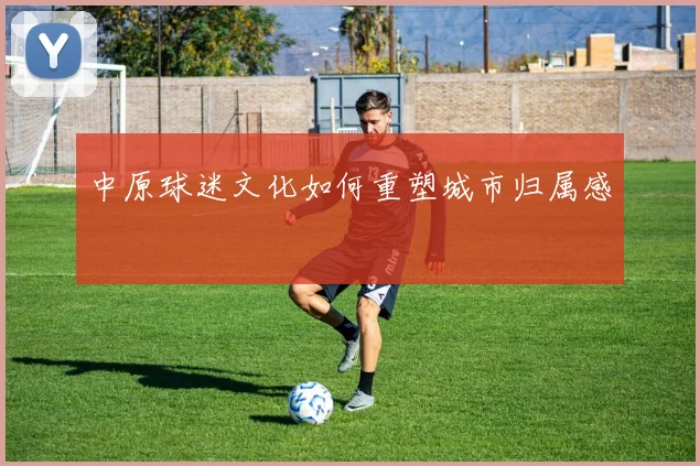 中原球迷文化如何重塑城市归属感